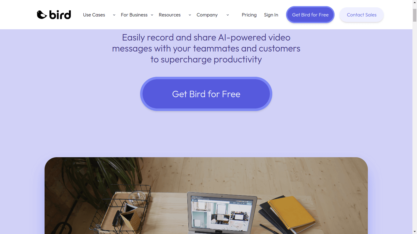 Bird demo website